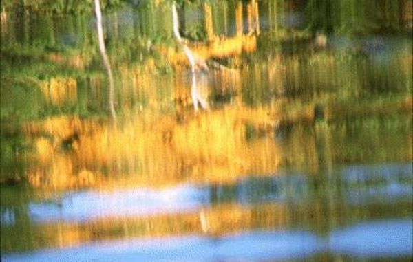 Acadia National Park