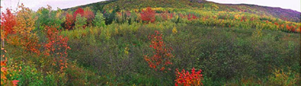 Acadia National Park