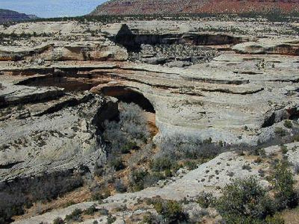 natural Bridges National Monument