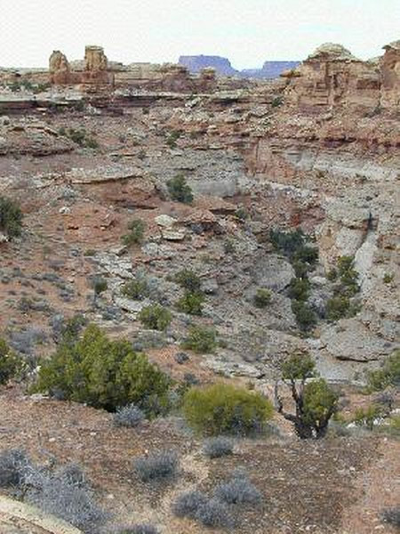 Island in the Sky district