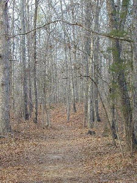 Natchez Trace Parkway