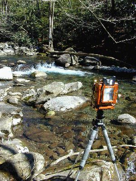 Great Smoky Mountains National Park