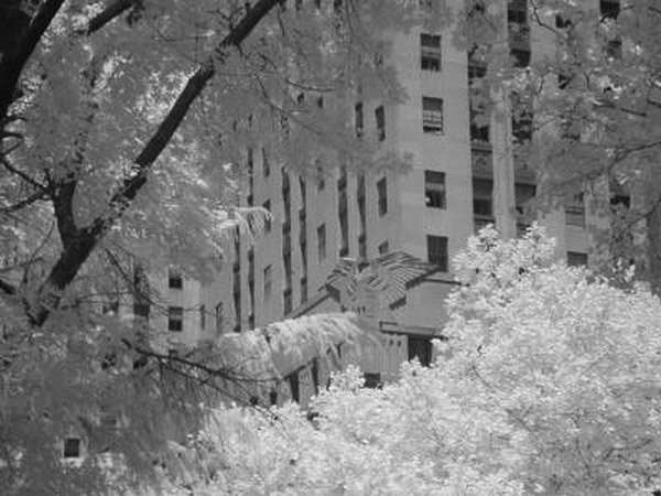 New York, New York