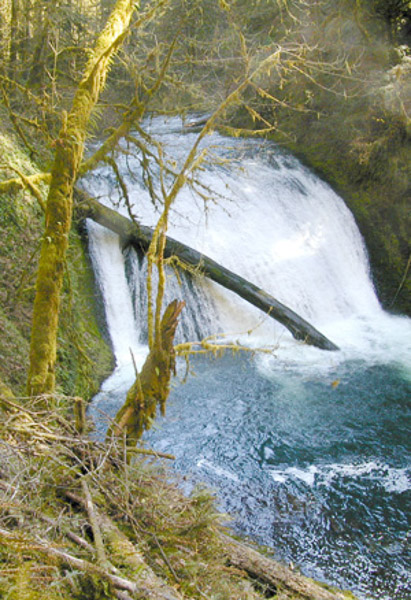 Silver Falls State Park