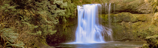 Silver Falls State Park