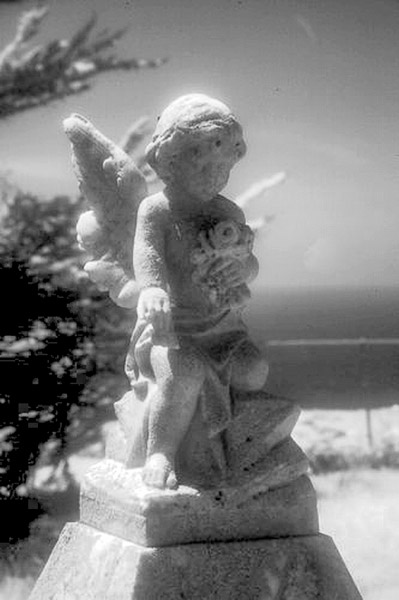 Cuffy's Cove cemetery