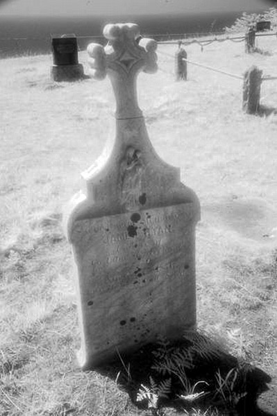 Cuffy's Cove cemetery