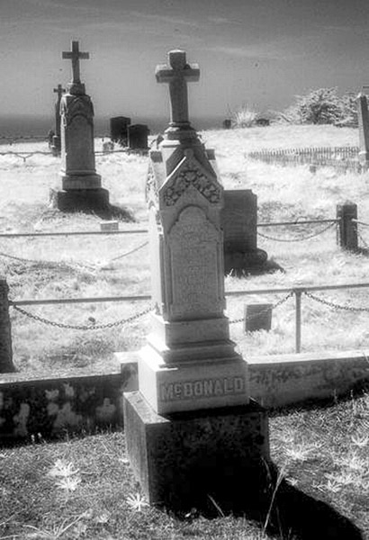 Cuffy's Cove cemetery