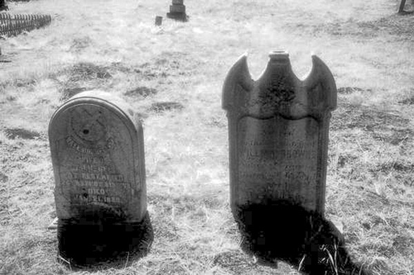 Cuffy's Cove cemetery