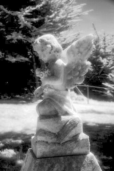 Cuffy's Cove cemetery