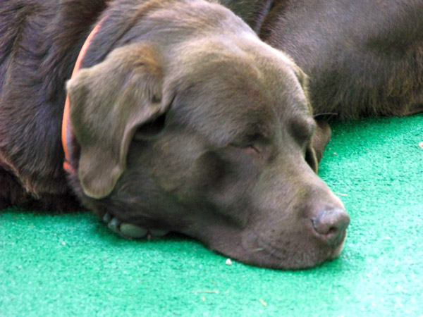 Relaxing in Oregon with family