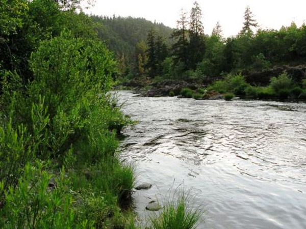 Relaxing in Oregon with family