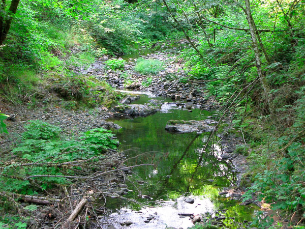 Relaxing in Oregon with family