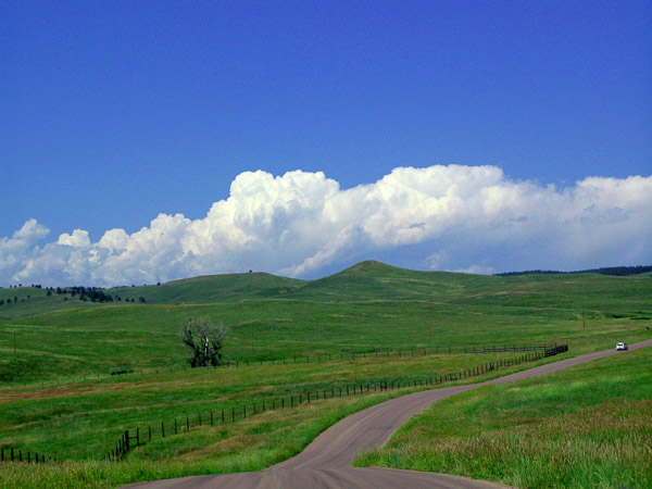 Custer State Park, SD