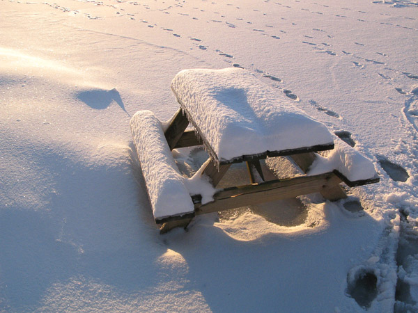 2009 snowstorm