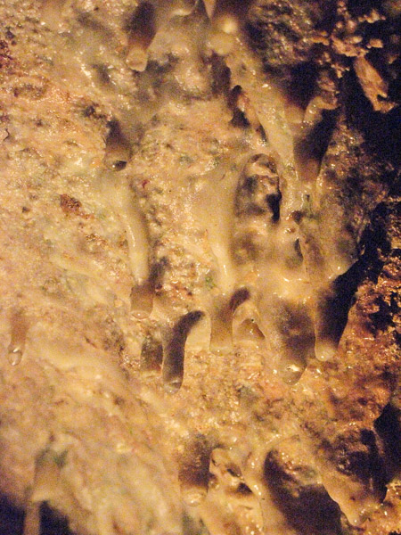 Squire Boone Caverns