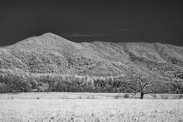 Great Smoky Mountains National Park, Cades Cove