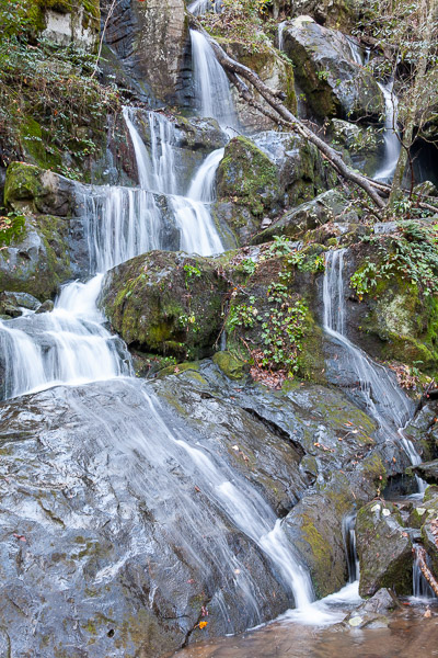 Great Smoky Mountains National Park, Roaring Fork Motor Nature Trail, Place of a Thousand Drips