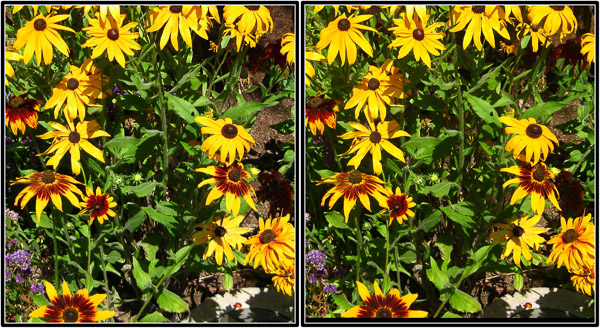 Balboa Park, San Diego, CA