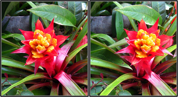 Balboa Park, San Diego, CA