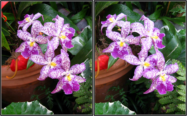 Balboa Park, San Diego, CA