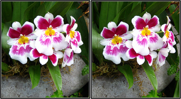 Balboa Park, San Diego, CA