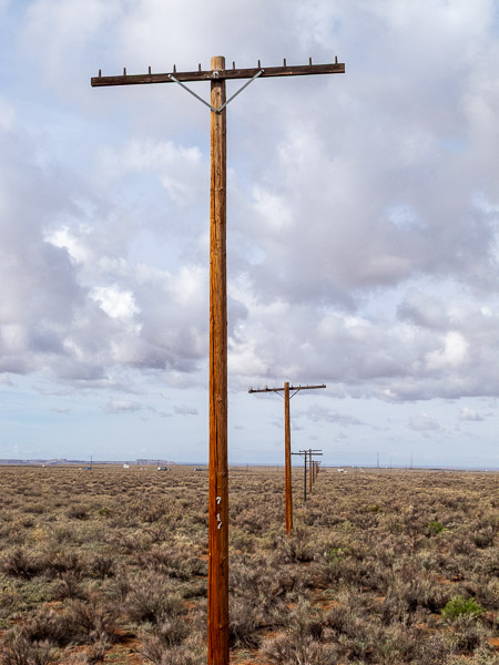 Telephone poles mark the origina Route 66 route in Retrified Forest National Park, Holbrook, AZ