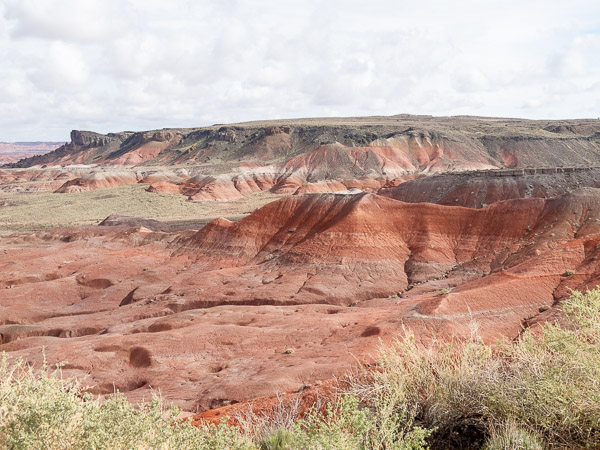 Retrified Forest National Park, Holbrook, AZ