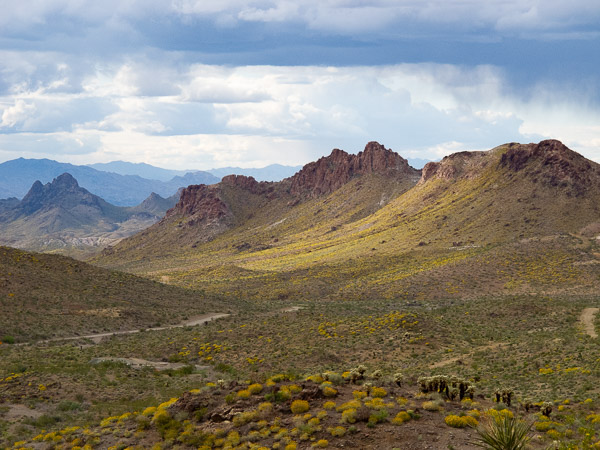 Between Kingman and Oatman Arizona