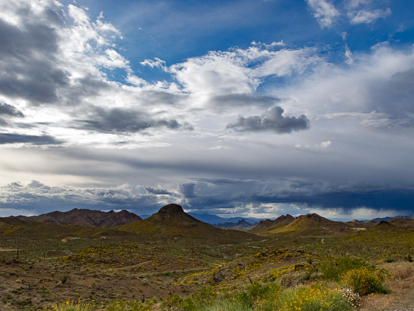 Between Kingman and Oatman Arizona