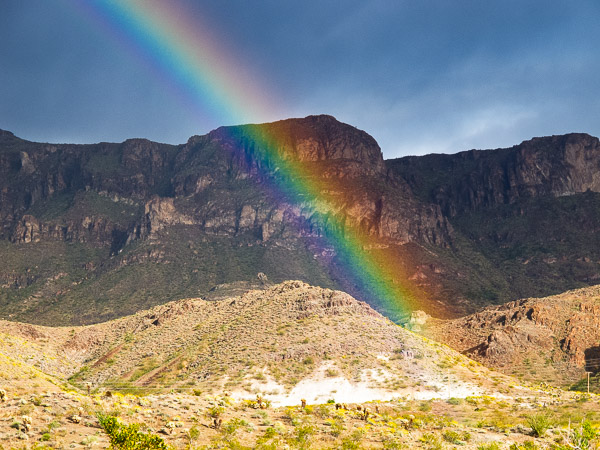 Heading west out of Oatman, AZ