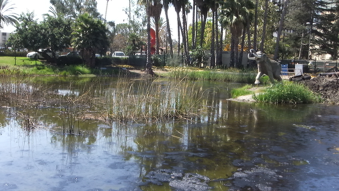 La Brea Tar Pits and Cinerama Dome, Los Angeles, CA, Oct 2012