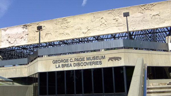 La Brea Tar Pits and Museum