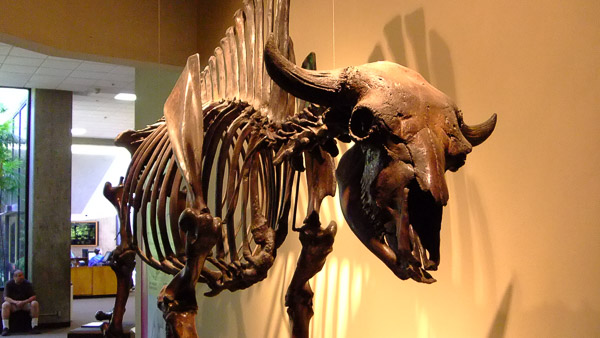 La Brea Tar Pits and Museum