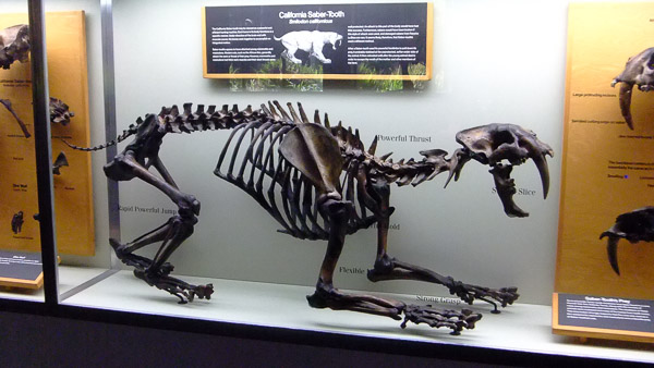 La Brea Tar Pits and Museum