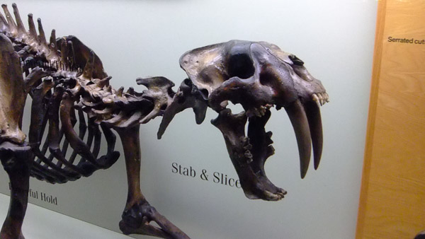 La Brea Tar Pits and Museum