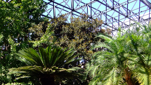 La Brea Tar Pits and Museum