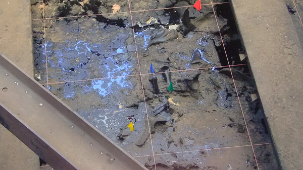 La Brea Tar Pits and Museum