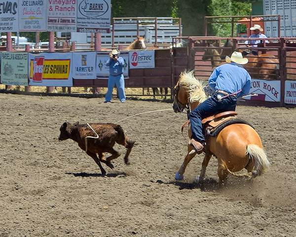 Duncan Mills Rodeo