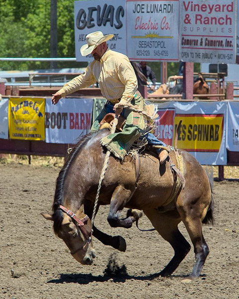 Duncan Mills Rodeo
