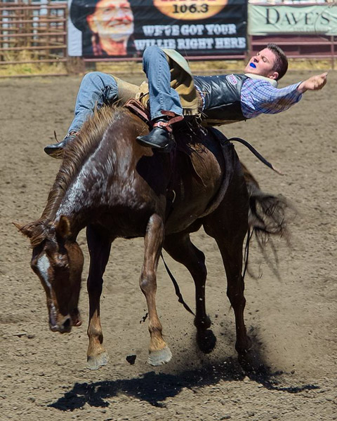 Duncan Mills Rodeo
