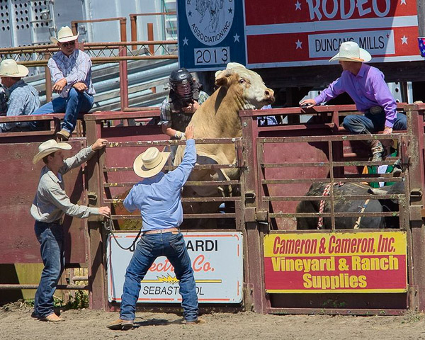 Duncan Mills Rodeo