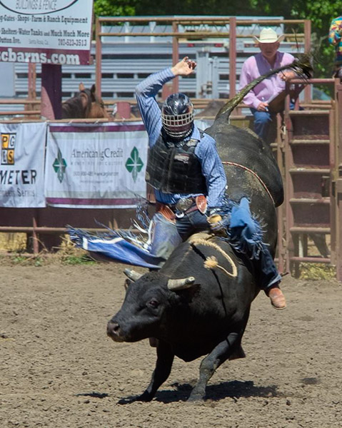Duncan Mills Rodeo