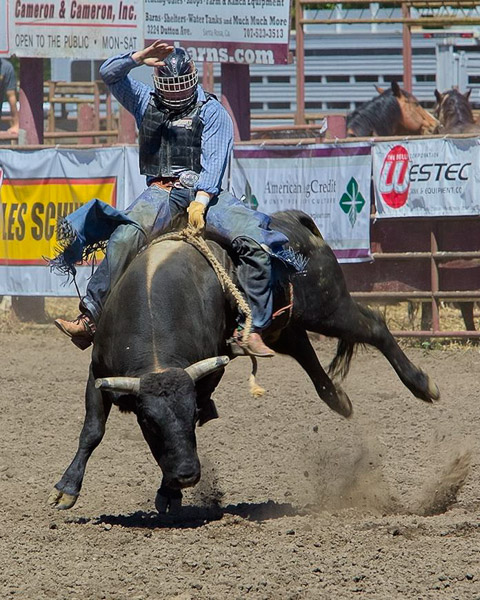 Duncan Mills Rodeo