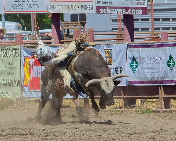 Duncan Mills Rodeo