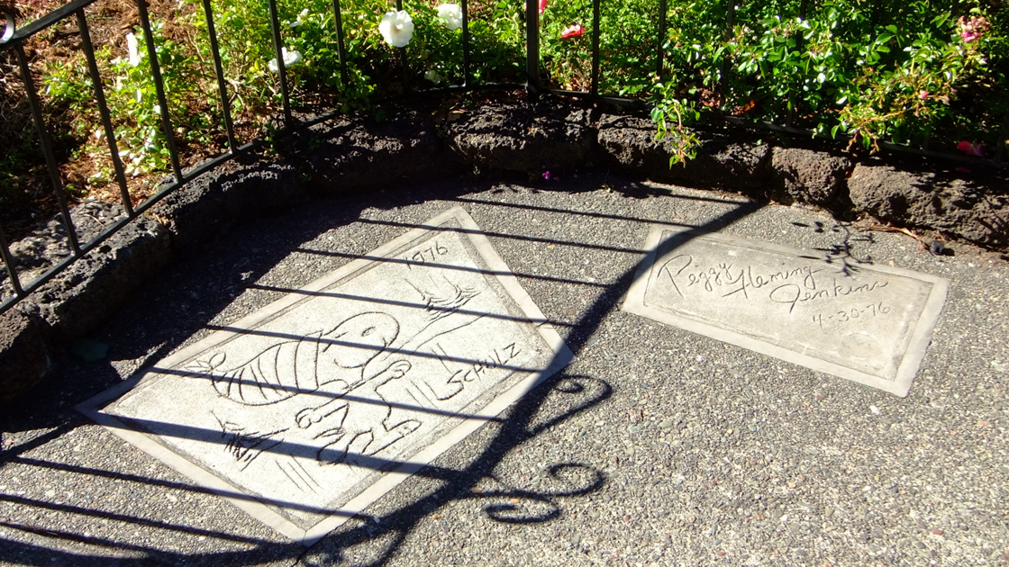 Charles Schultz Museum and Redwood Empire Ice Skating Rink, Santa Rosa, CA, June 2013