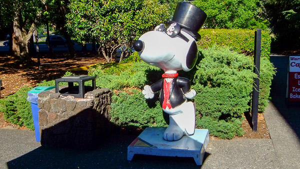 Redwood Empire Ice Skating Rink