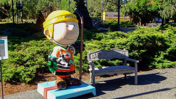 Redwood Empire Ice Skating Rink