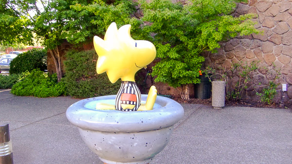 Redwood Empire Ice Skating Rink