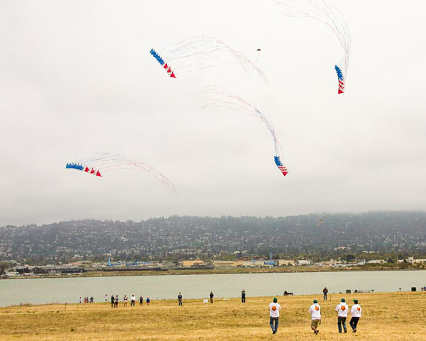 Kite Festival, team stunt kites